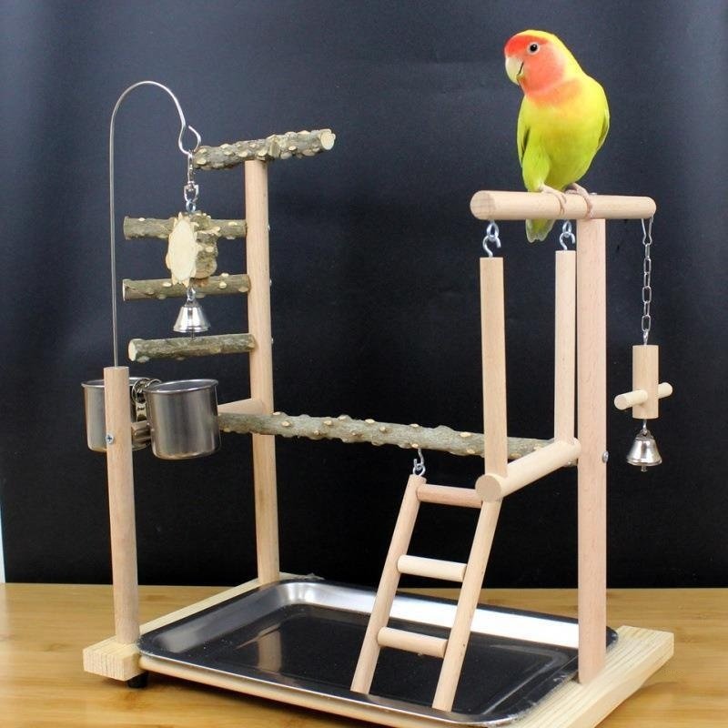 Natural Wood Parrot Toy Stand â Image 4