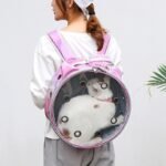 Transparent Pet Backpack