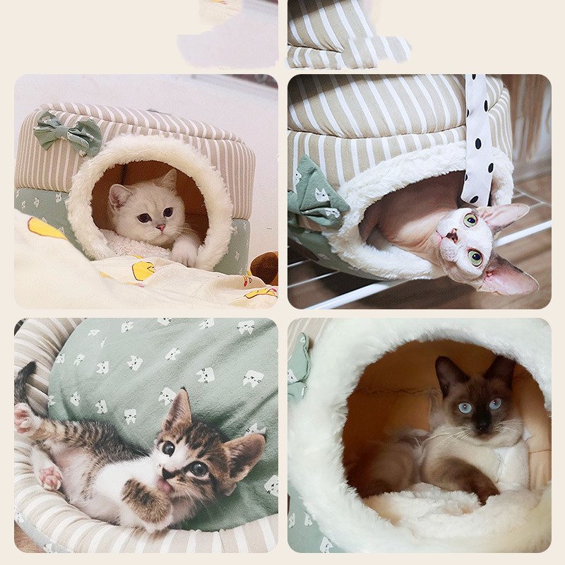 All-Season Cat House – Image 5