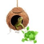 Natural Reptile Swing