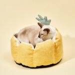 Cozy Pineapple Bed for Cats and Small Dogs