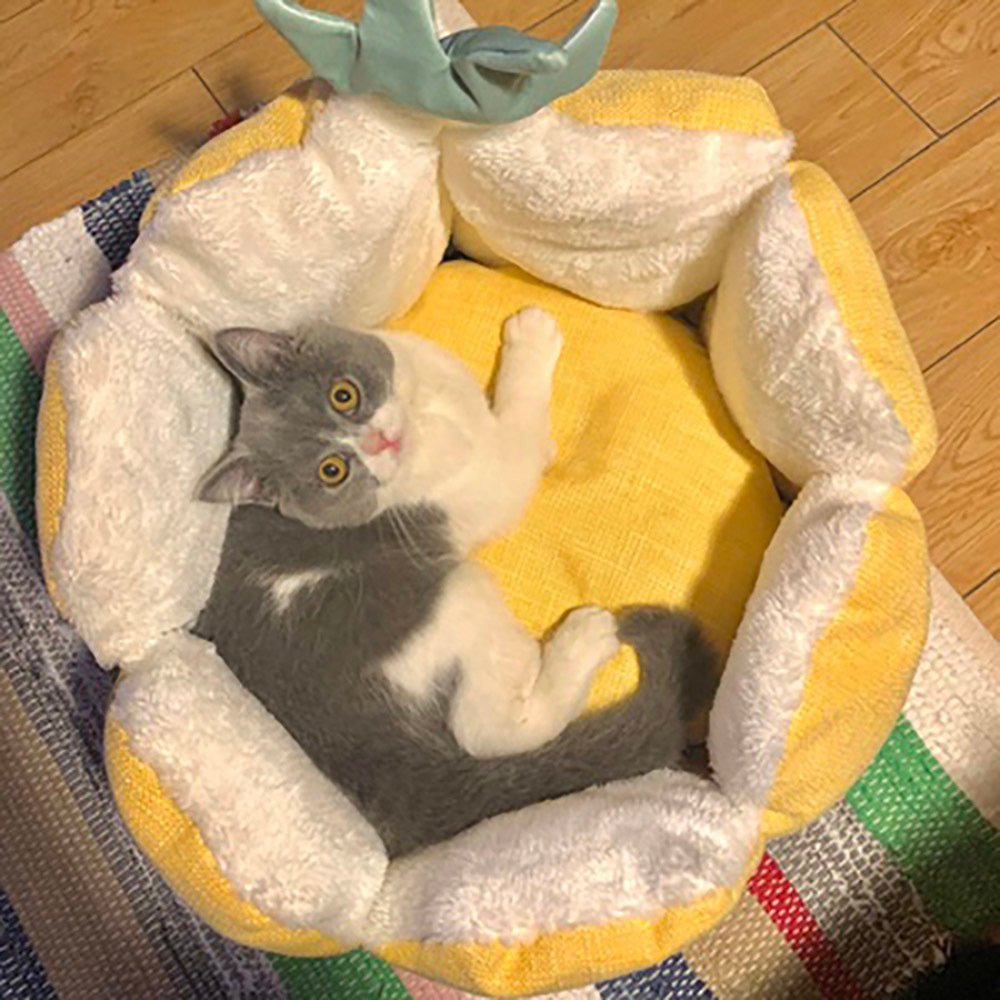 Cozy Pineapple Bed for Cats and Small Dogs – Image 5