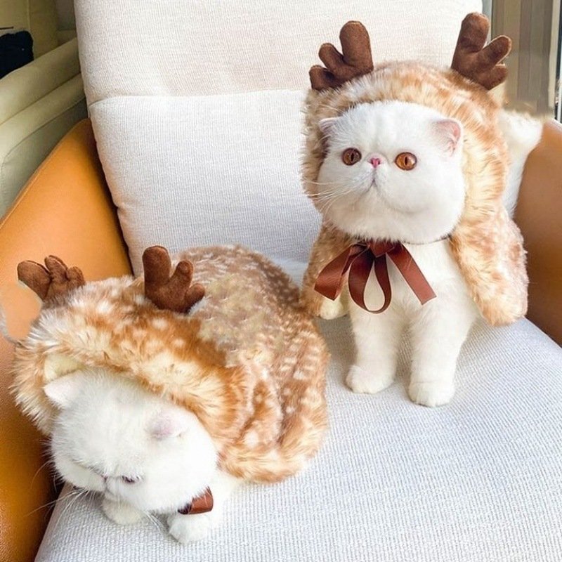 Elegant Cape & Shawl for Small Dogs and Cats