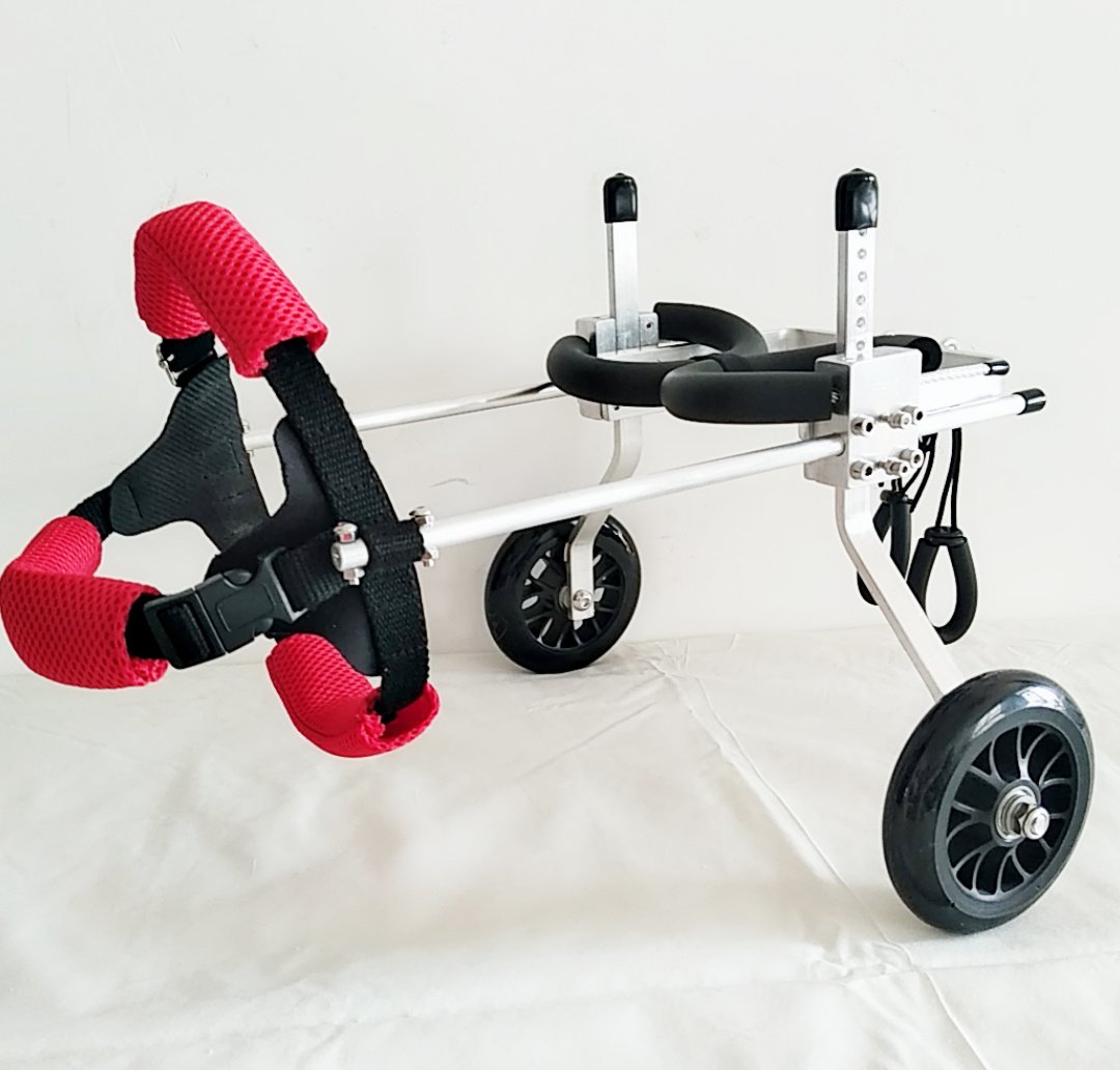 New Dog Wheelchair – Fully Adjustable - Image 6