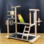 Natural Wood Parrot Toy Stand
