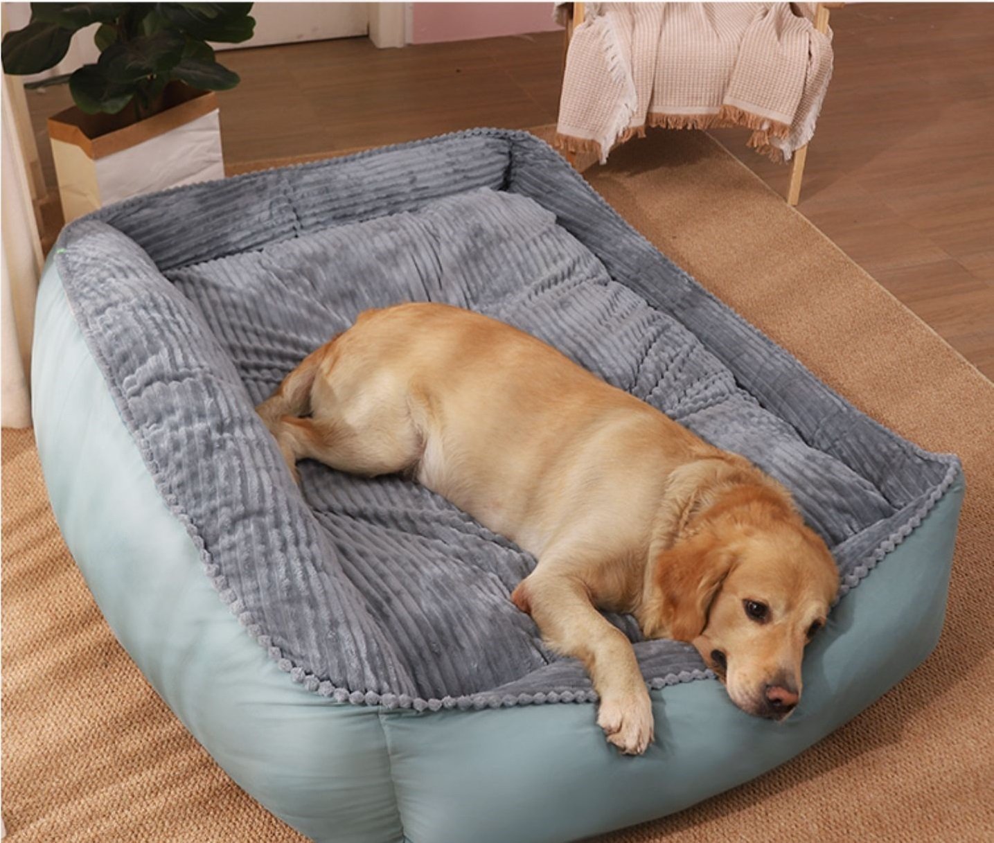 Dog Bed – Image 5