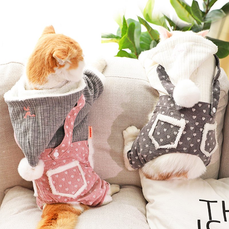 Warm Clothes for Dogs and Cats – Elegant Princess Style! - Image 4