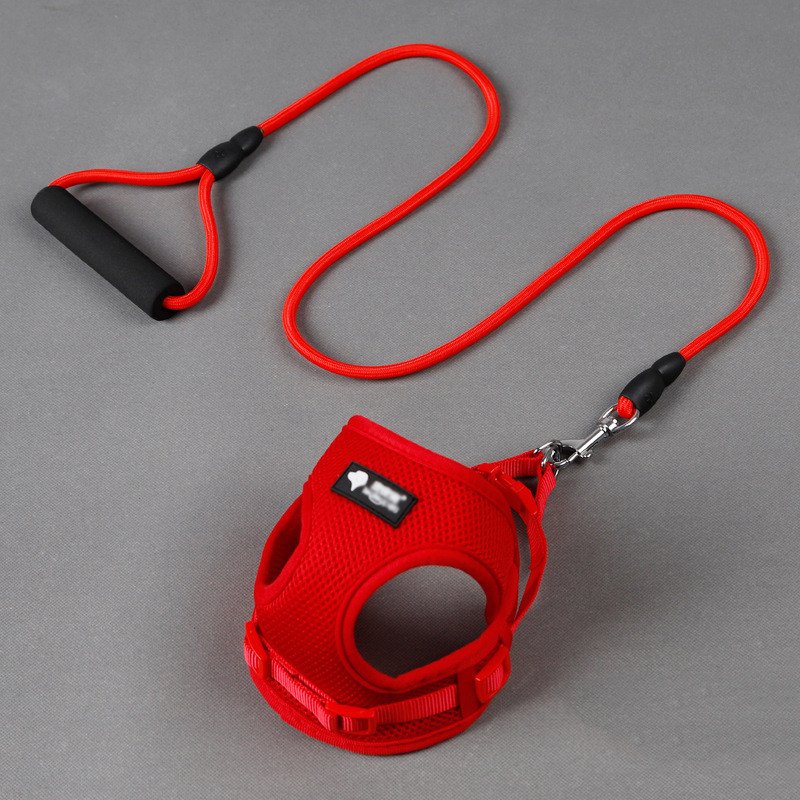 Dog Leash & Collar – Elegance and Durability - Image 3