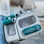 Pet Carrier – Pets Royal Palace