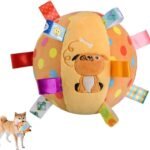 Chime & Squeaky Ball Toy