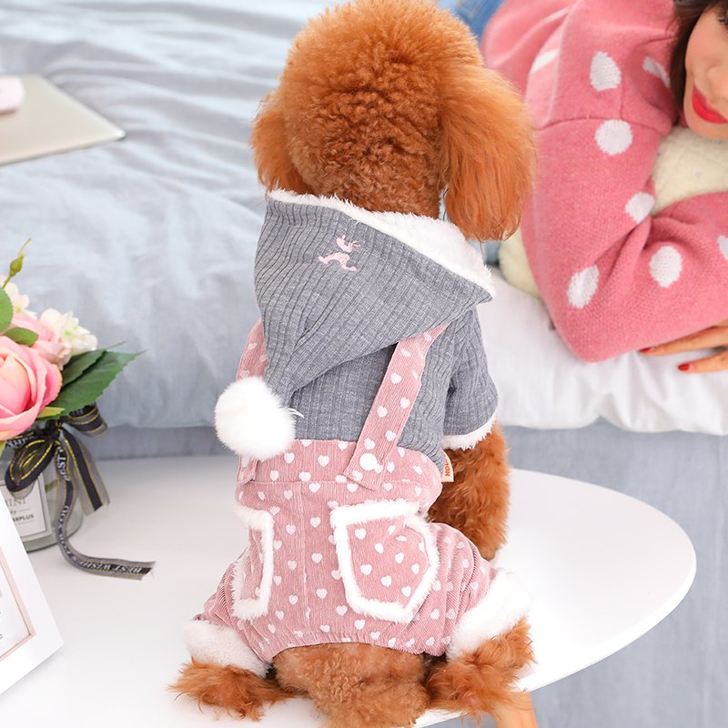 Warm Clothes for Dogs and Cats – Elegant Princess Style! - Image 6