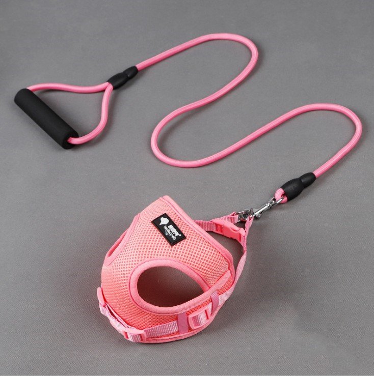 Dog Leash & Collar – Elegance and Durability - Image 4