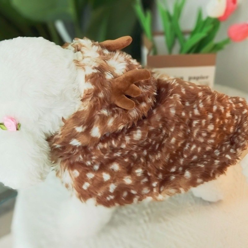 Elegant Cape & Shawl for Small Dogs and Cats – Image 2