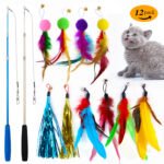 Fishing Rod with Interchangeable Feathers – 12-Piece Set