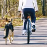 Dog Bike Traction Rope