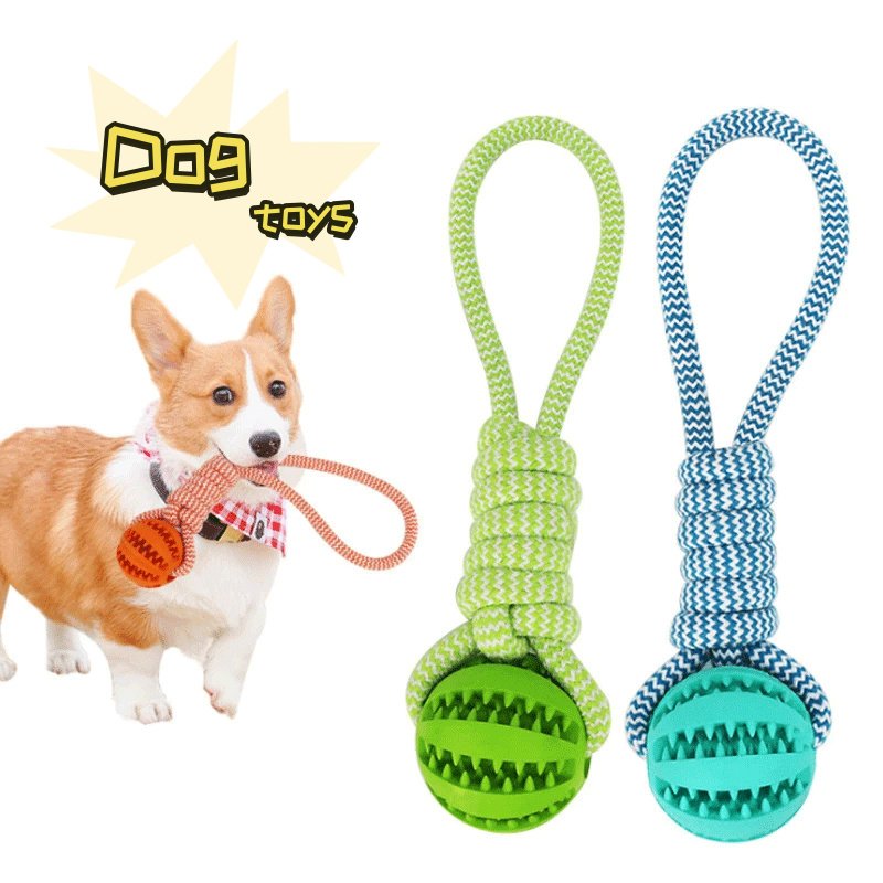 Interactive Dog Toy