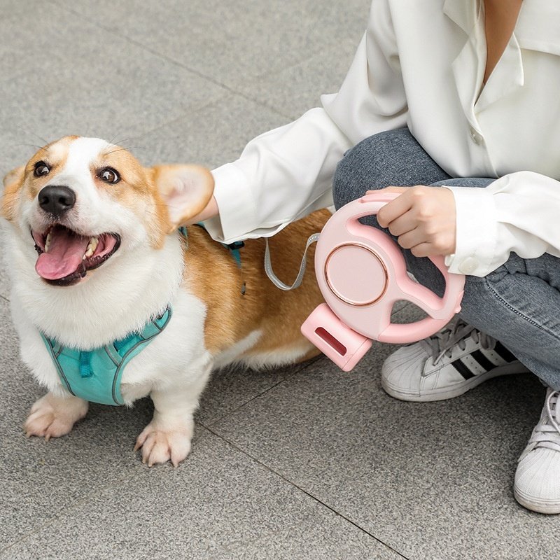 Retractable Leash with LED Lighting – Image 3