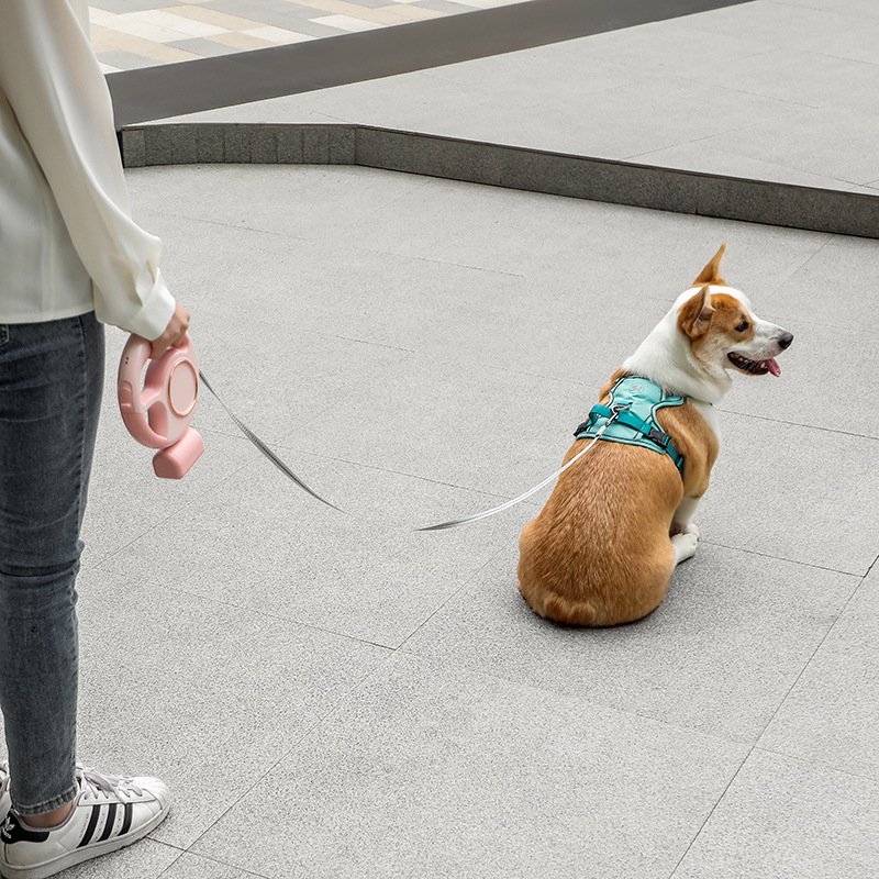 Retractable Leash with LED Lighting – Image 6