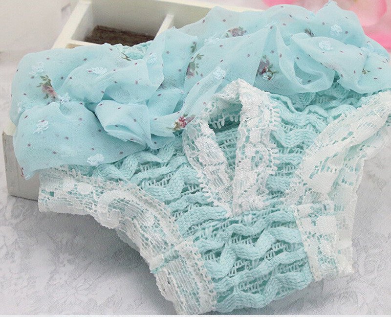 Physiological Pants for Female Dogs – Image 9