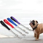 Dog Leash - Nylon Handle and Metal Chain Leash