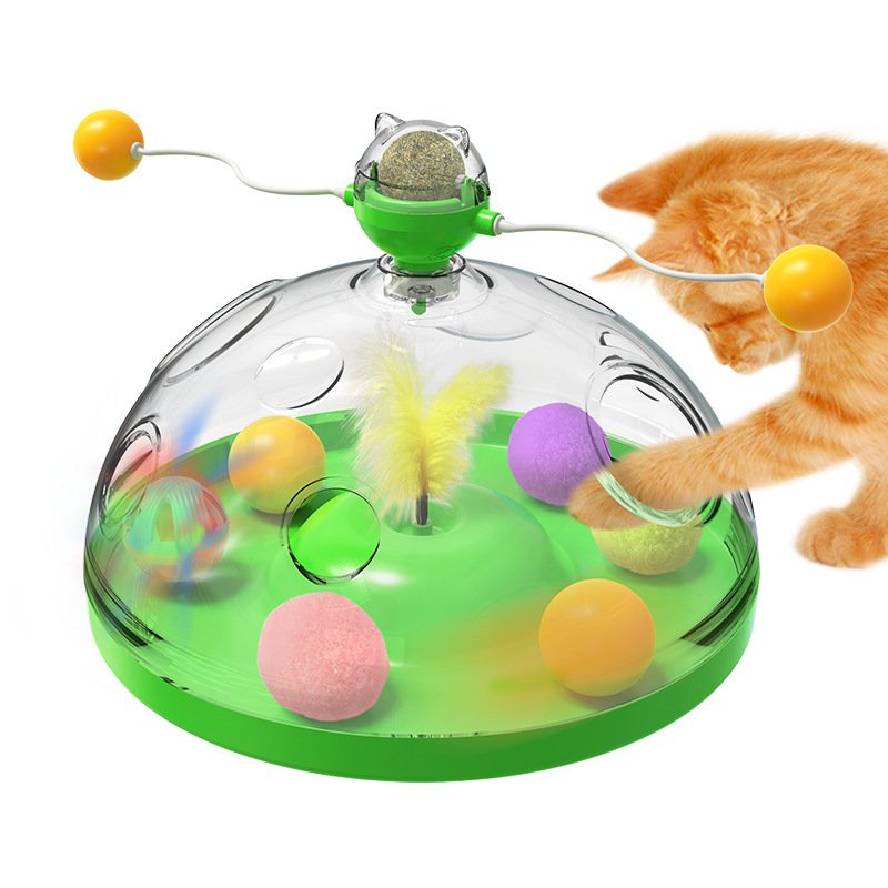 Meows – Interactive and Educational Cat Toy - Image 5
