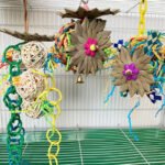 Brushed Palm Educational Toys for Parrots