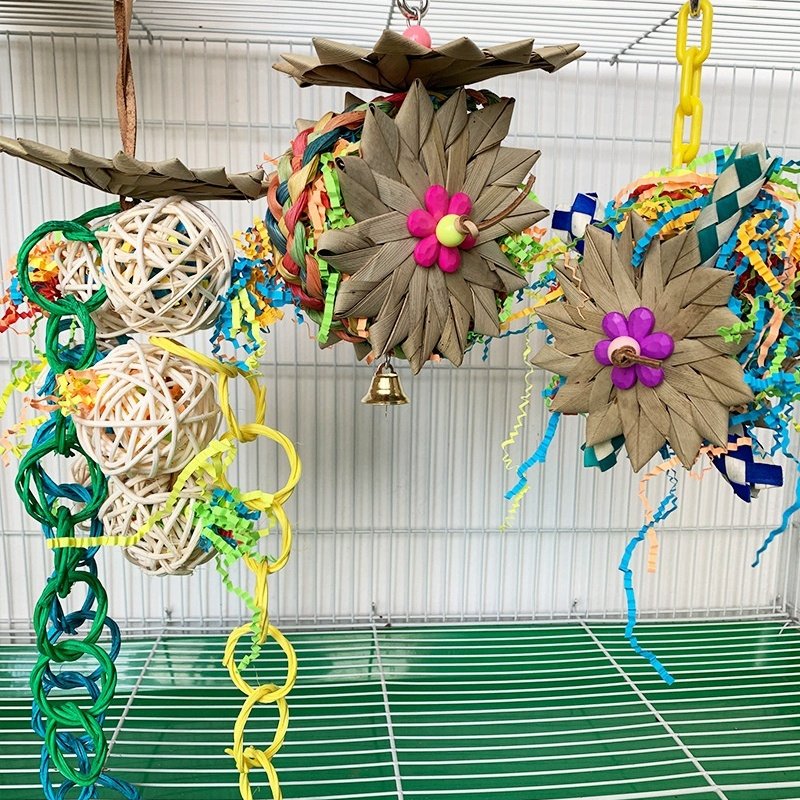 Brushed Palm Educational Toys for Parrots