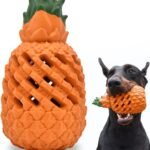 Pineapple Dog Chew Toy
