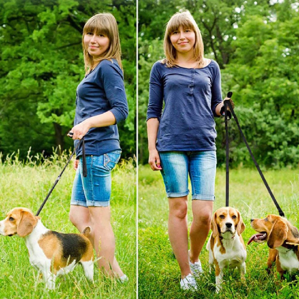 Durable Dog Running Leash - Image 2
