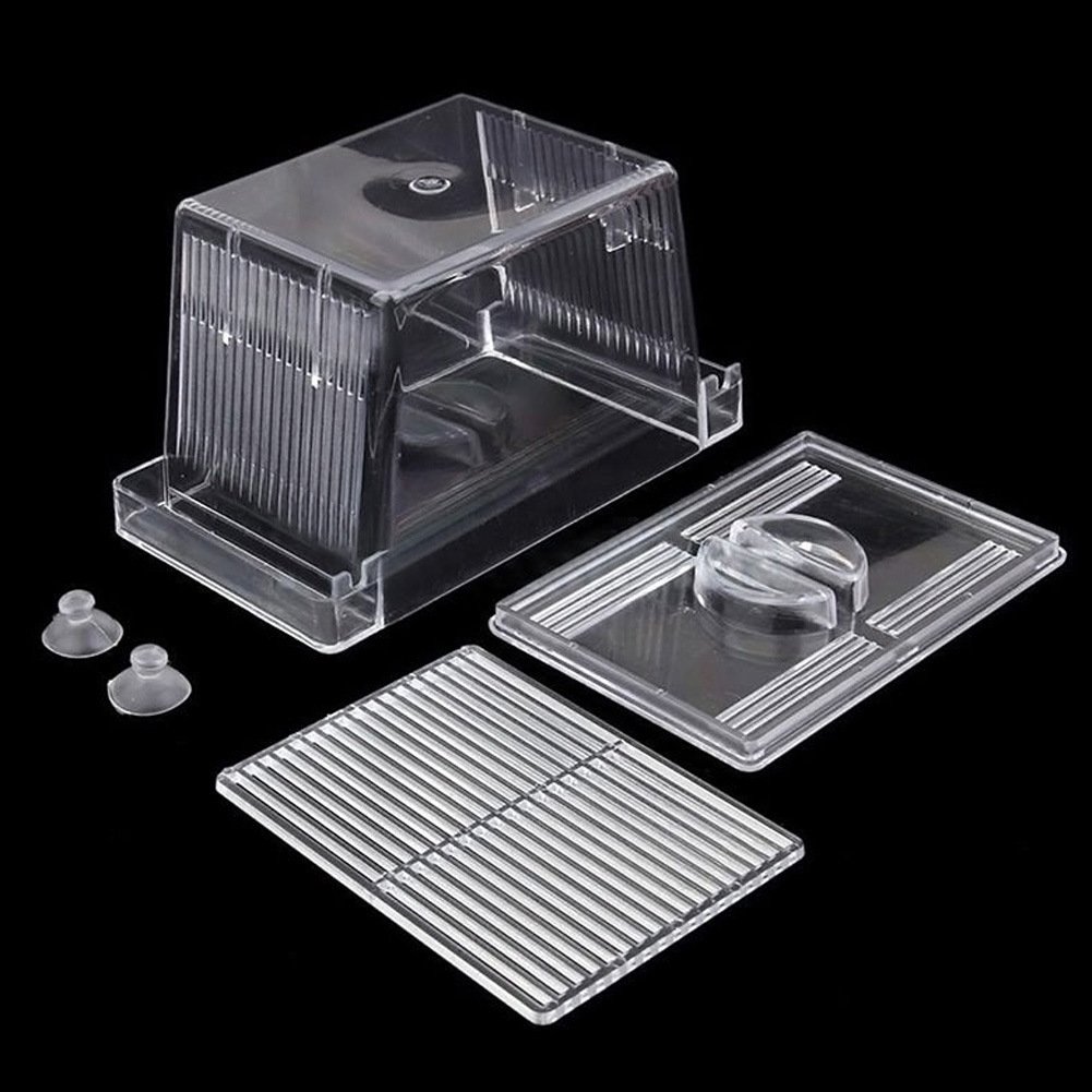 Acrylic Aquarium Fish Tank Incubation Box – Image 3