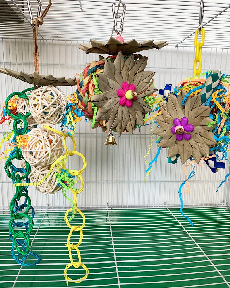 Brushed Palm Educational Toys for Parrots - Image 7