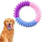 Premium Rubber Teething Ring