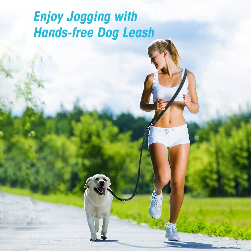 Durable Dog Running Leash